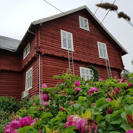 Haugtun Gardspensjonat Og Leiligheter Nordre Land Dış mekan fotoğraf