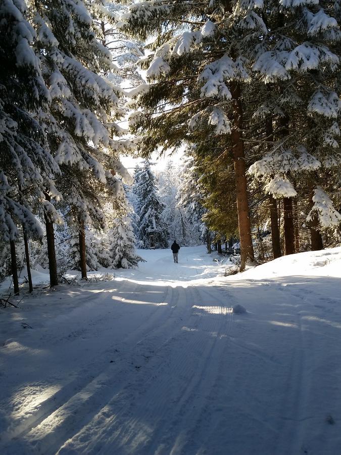 Haugtun Gardspensjonat Og Leiligheter Nordre Land Dış mekan fotoğraf
