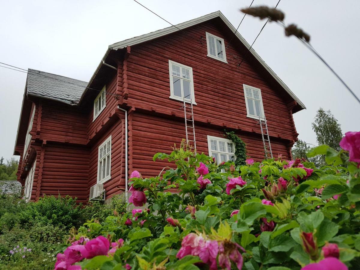 Haugtun Gardspensjonat Og Leiligheter Nordre Land Dış mekan fotoğraf