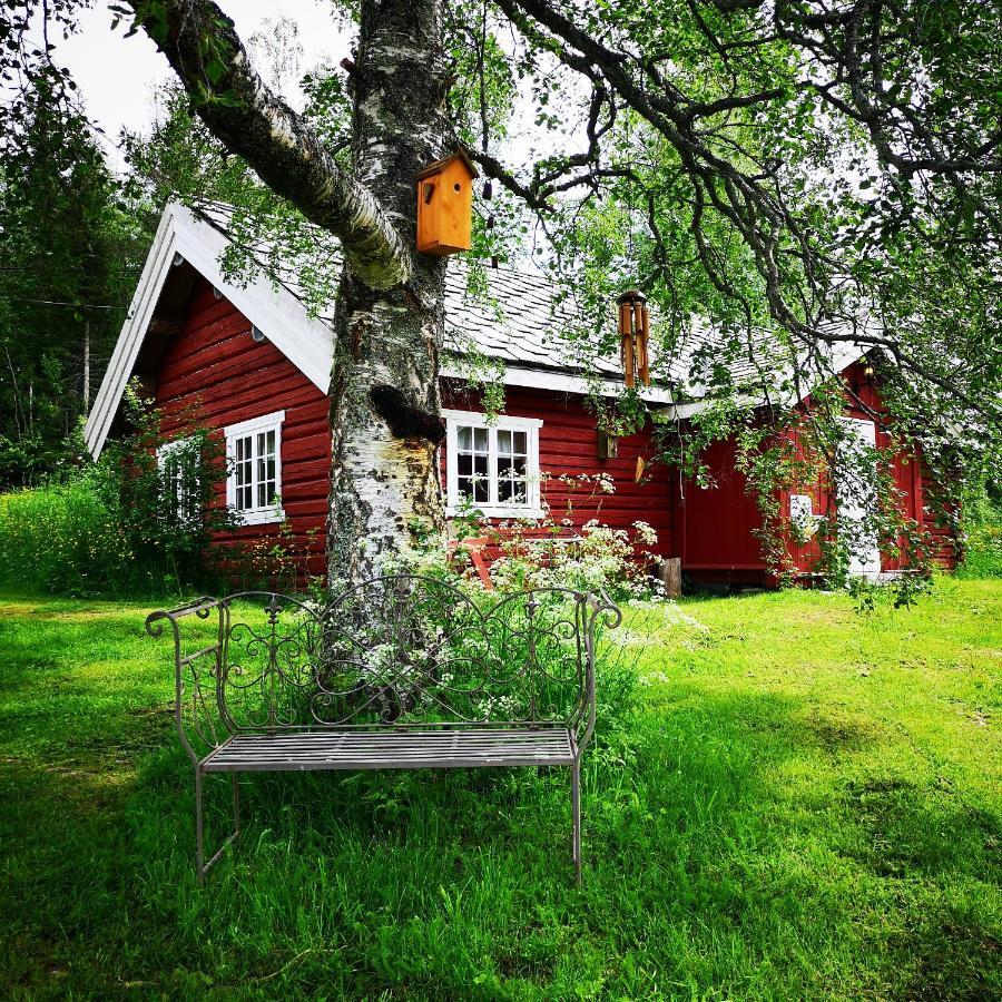 Haugtun Gardspensjonat Og Leiligheter Nordre Land Dış mekan fotoğraf
